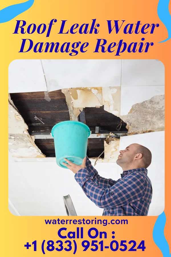 Roof Leak Water Damage Repair in Richmond, MN