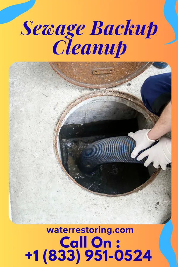 Sewage Backup Cleanup in Richmond, MN