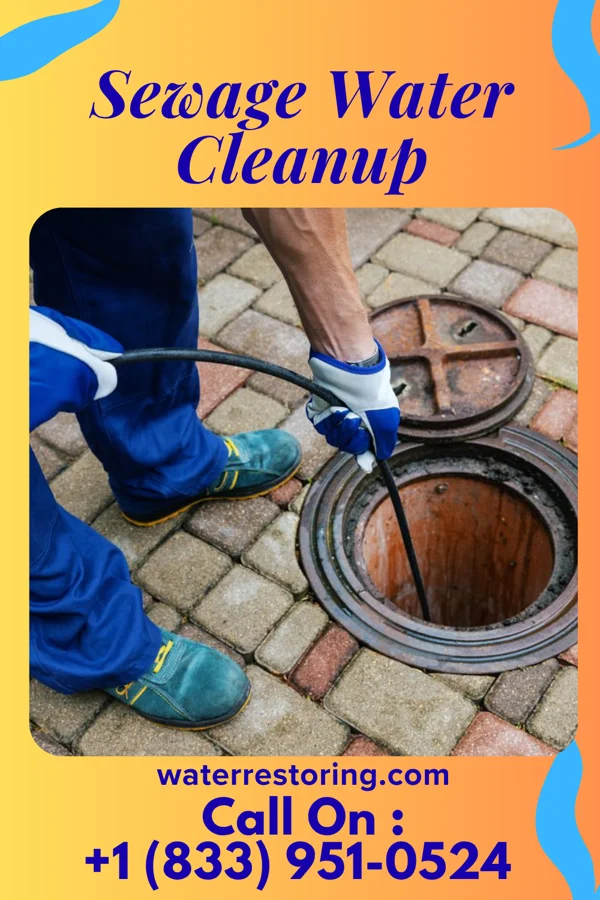 Sewage Water Cleanup in Richmond, MN